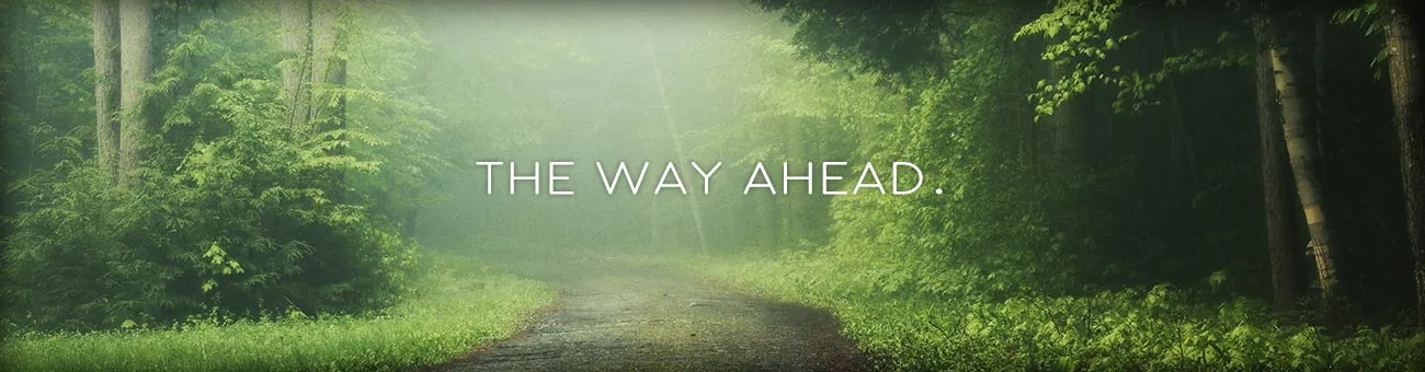 Path in the Adirondacks with caption The Way Ahead